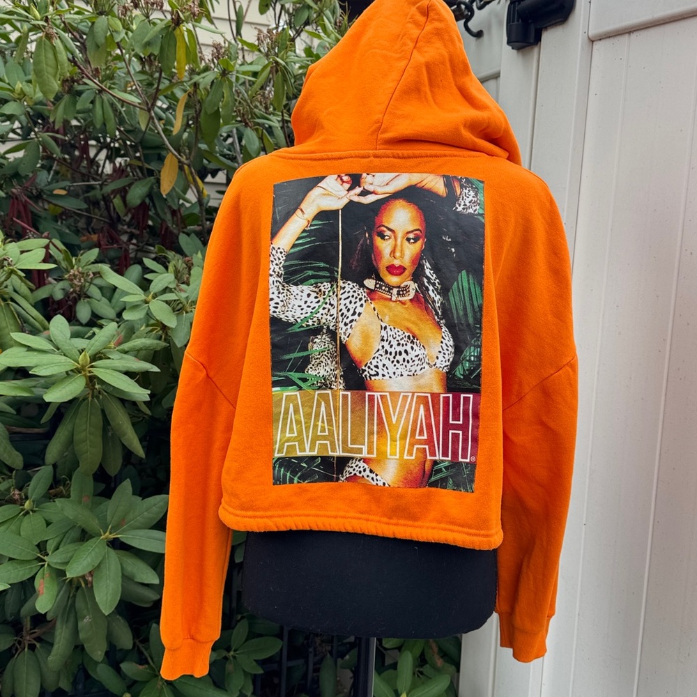 Aaliyah hoodie lg